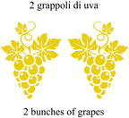 Agrimellus - 2 grappoli - condimento agrodolce