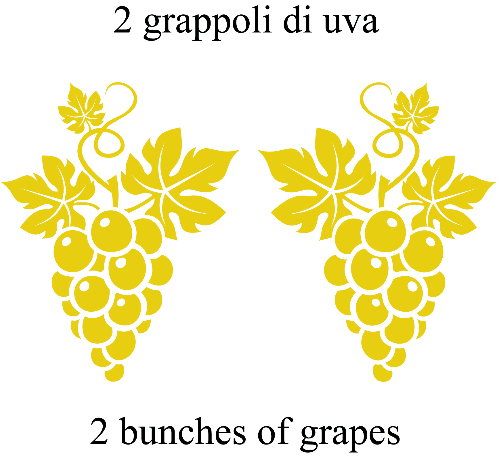 Agrimellus - 2 grappoli - condimento agrodolce